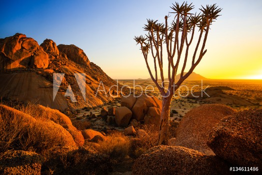 Bild på Group of bald granite peaks - Spitzkoppe Damaraland Namibia